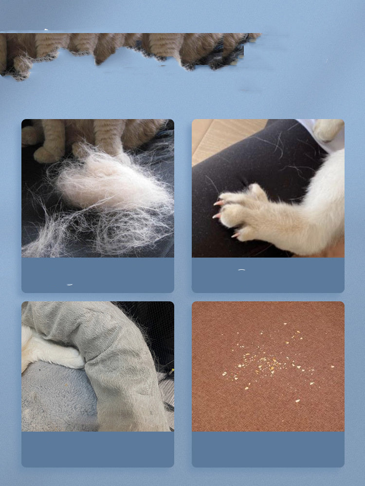 brosse antipoils pour chat